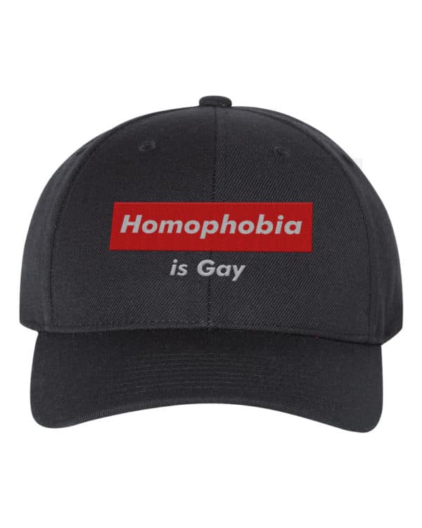 H*m*phobia Is G*y Funny Humour Snapback Hat Cap Embroidery - Cuztom Threadz