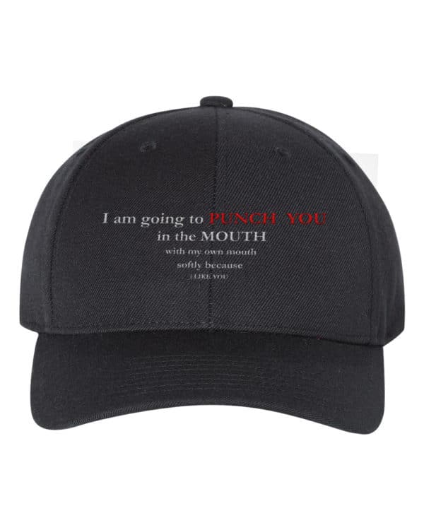 Punch You Softly With My Mouth Funny Humour Snapback Hat Cap Embroidery - Cuztom Threadz