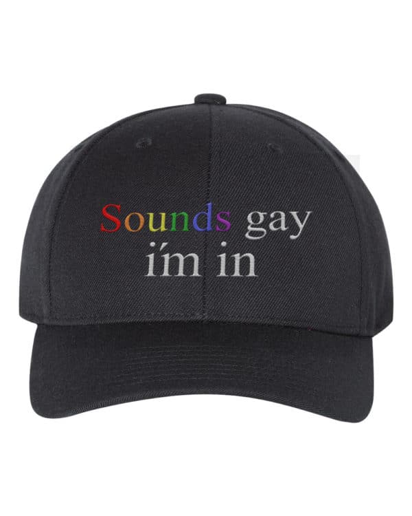 Sounds G*y I'm In Funny Humour Snapback Hat Cap Embroidery - Cuztom Threadz