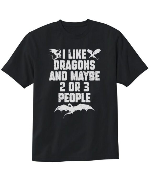 I Like Dragons and Maybe 2 or 3 People T-Shirt - Cuztom Threadz